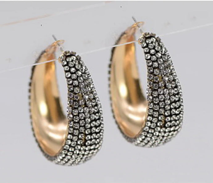Stone Wrapped Earrings
