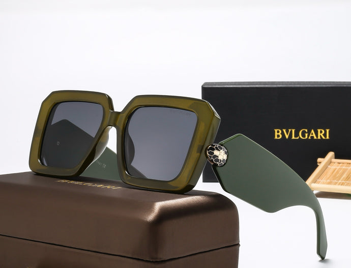 SG-BVL01